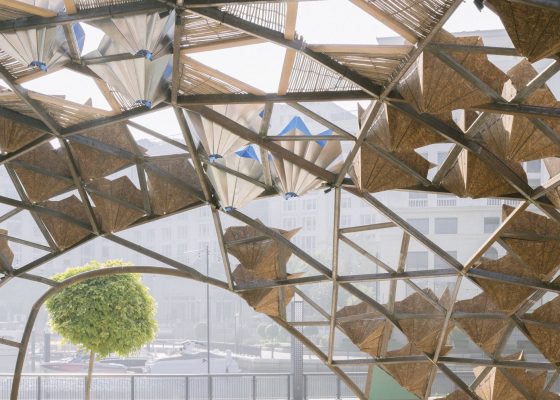 Tarabot Workshop: A Time for Life-Sustaining Leadership