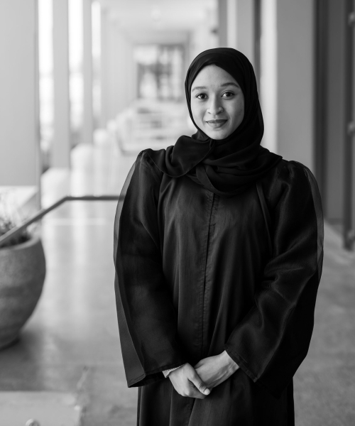 مساعد تجربة الزوار