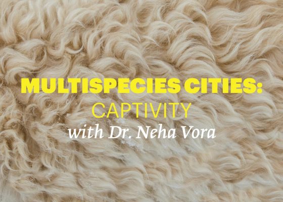 Reading Group: Multispecies Cities – Captivity