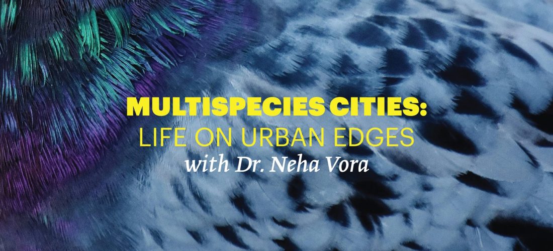 Reading Group: Multispecies Cities – Life on Urban Edges