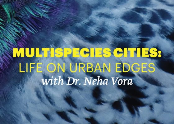 Reading Group: Multispecies Cities – Life on Urban Edges