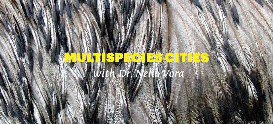 Reading Group: Multispecies Cities