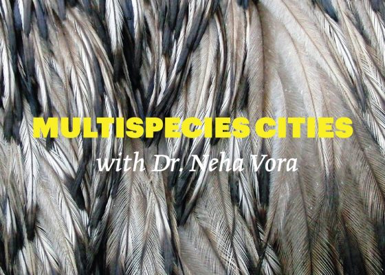 Reading Group: Multispecies Cities