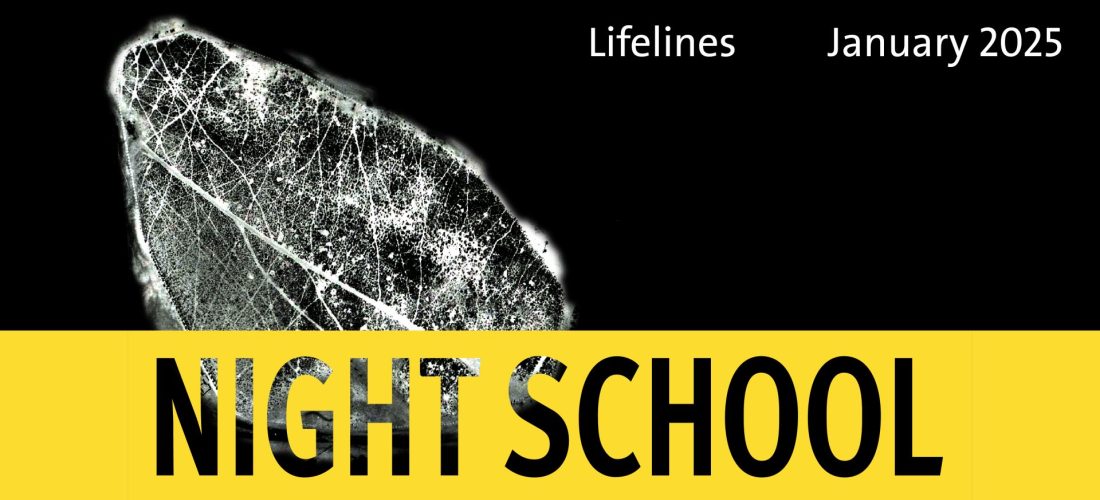 المدرسة الليلية 2025: خطوط الحياة