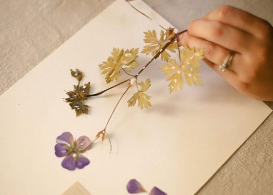 Poetry Workshop – Words Out of Bloom: Blackout Poetry for Sustainability