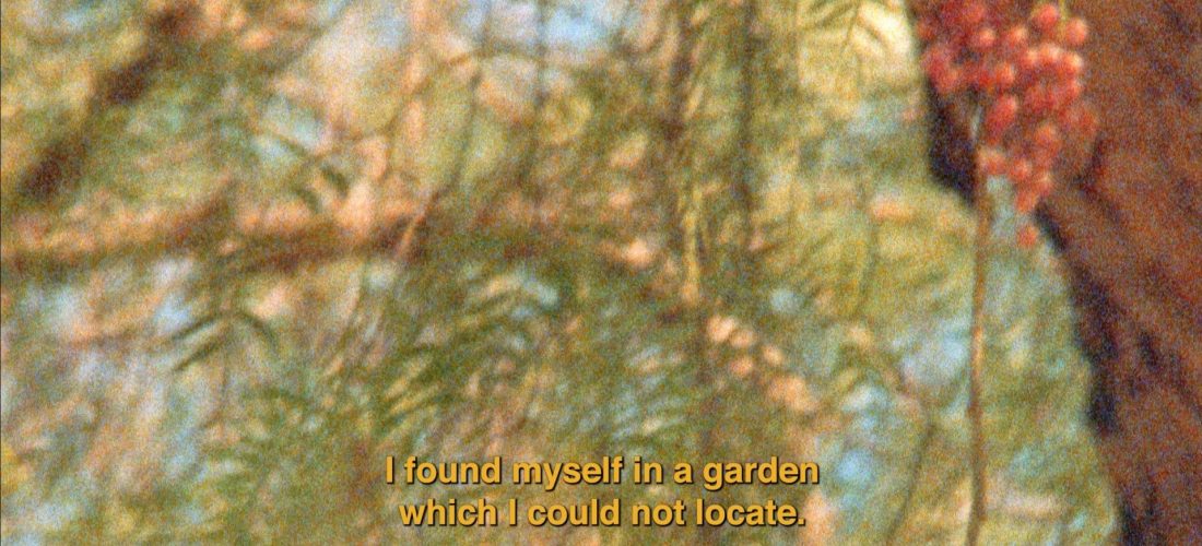 Film – The Secret Garden by Nour Ouayda