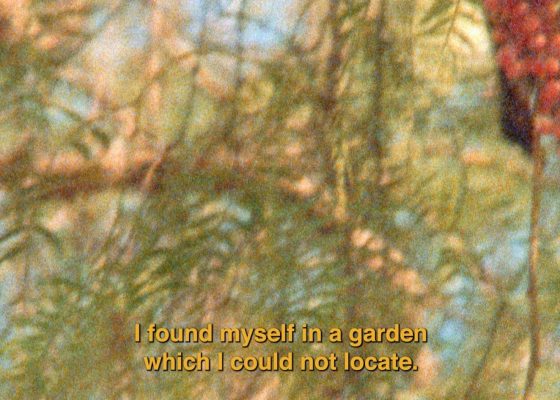 Film – The Secret Garden by Nour Ouayda