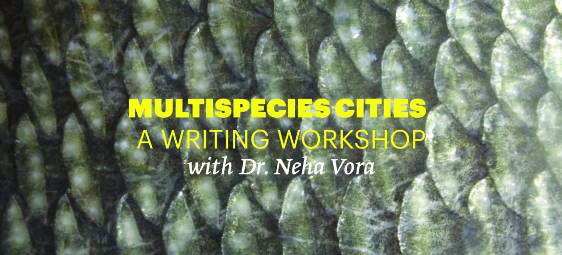 Multispecies Cities – A Writing Workshop