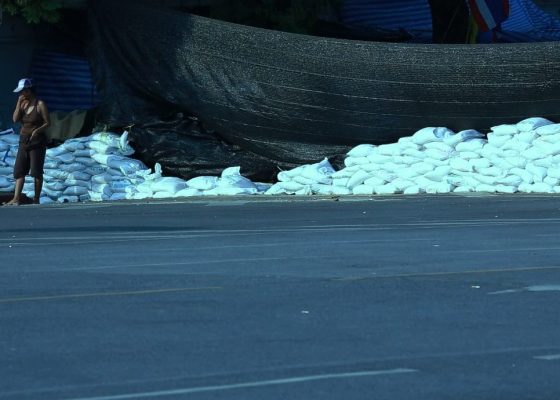 Flow Talks: Han Nefkens in conversation with Nazli Ghassemi