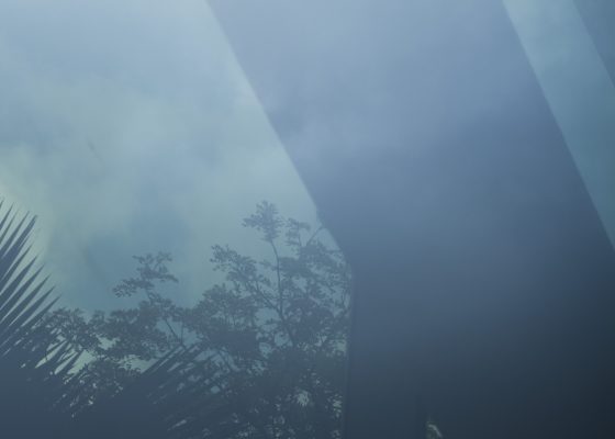 A Walk with the Birds of Dubai Creek with Naser Al Sughaiyer and David Tan