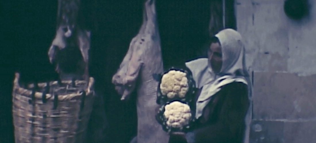 Film Screening and Book Discussion — Terra Femme + Three Centuries of Travel Writing by Muslim Women