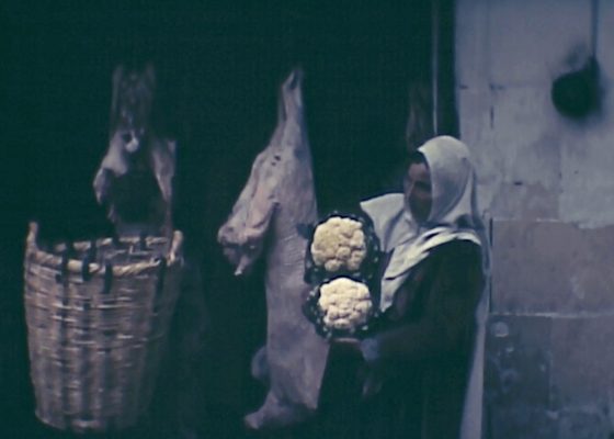 Film Screening and Book Discussion — Terra Femme + Three Centuries of Travel Writing by Muslim Women