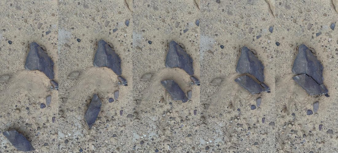 Opening Talk: Seas are sweet, fish tears are salty with Mohammad Alfaraj and Rotana Shaker