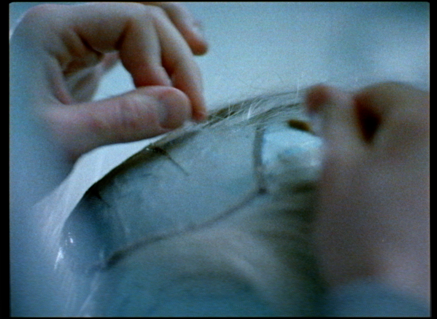 Film Programme: An Asian Ghost Story by Bo Wang