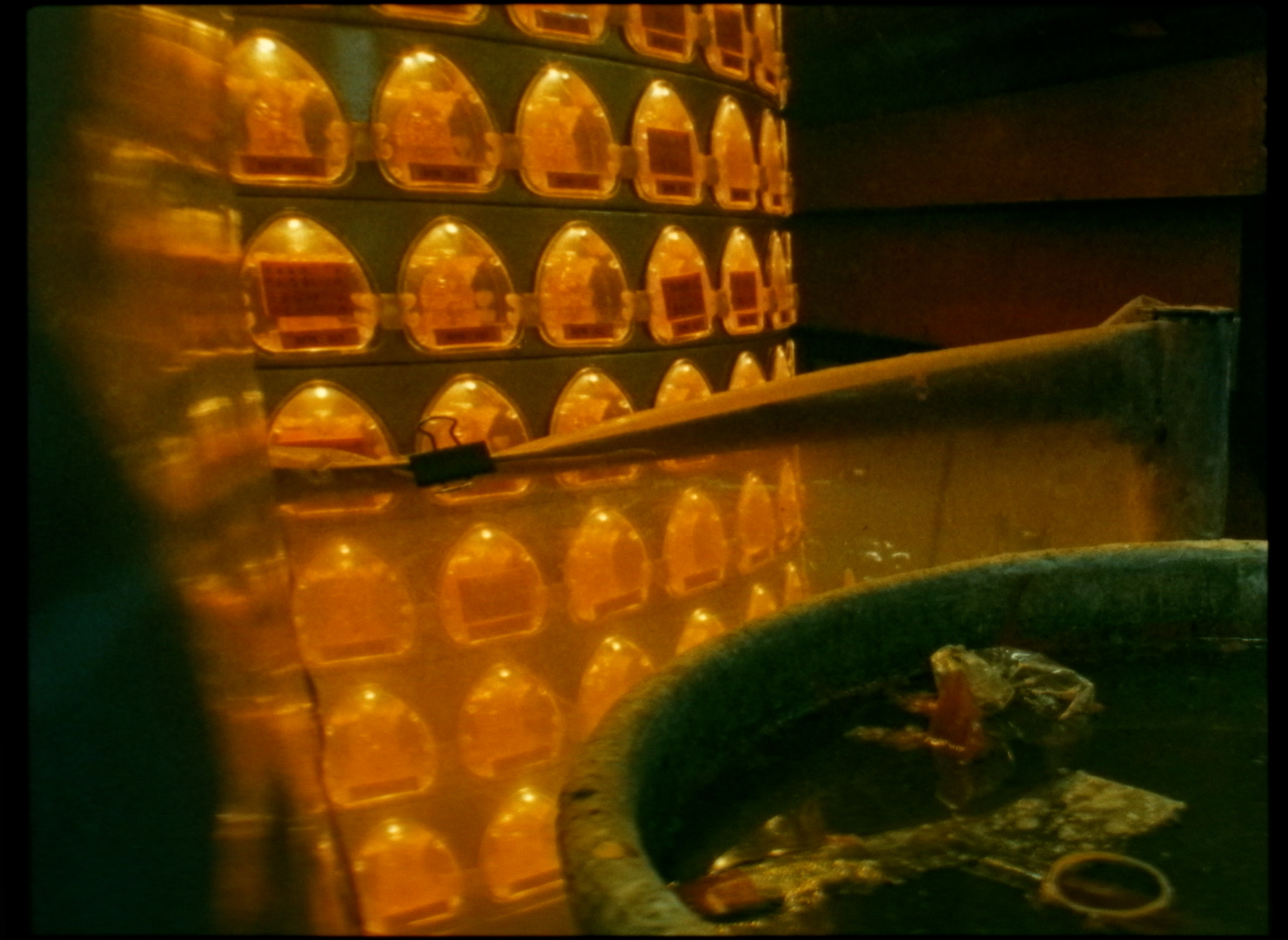 Film Programme: An Asian Ghost Story by Bo Wang