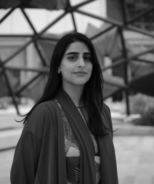 مساعد مشاركات