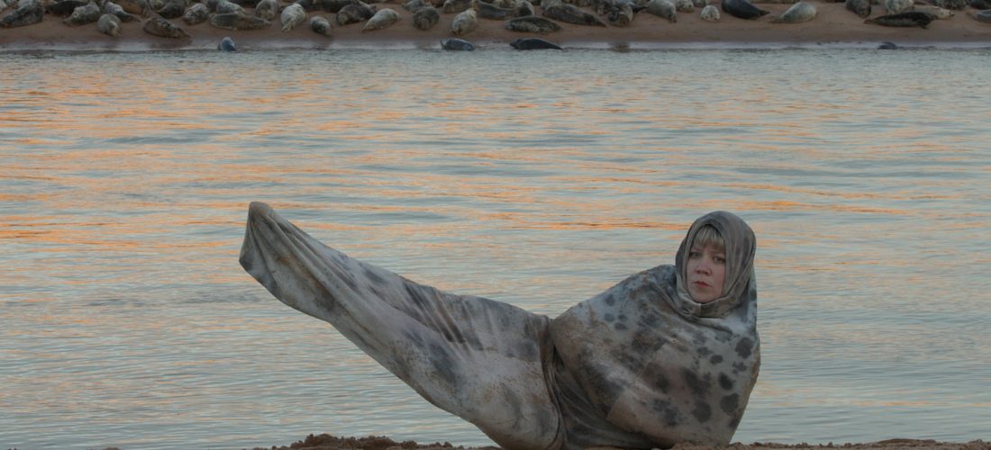 هانا توليكي: جلود الفقمات