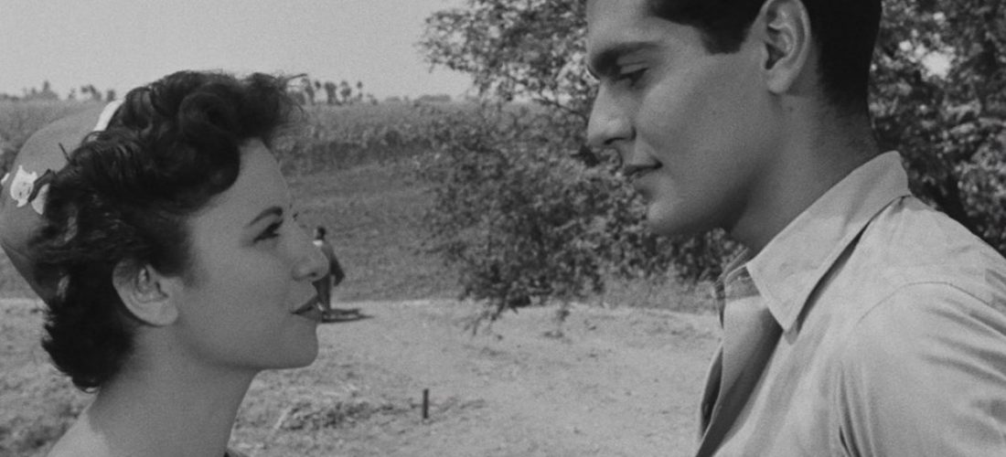 Jameel’s Summer Cinema: The Blazing Sun