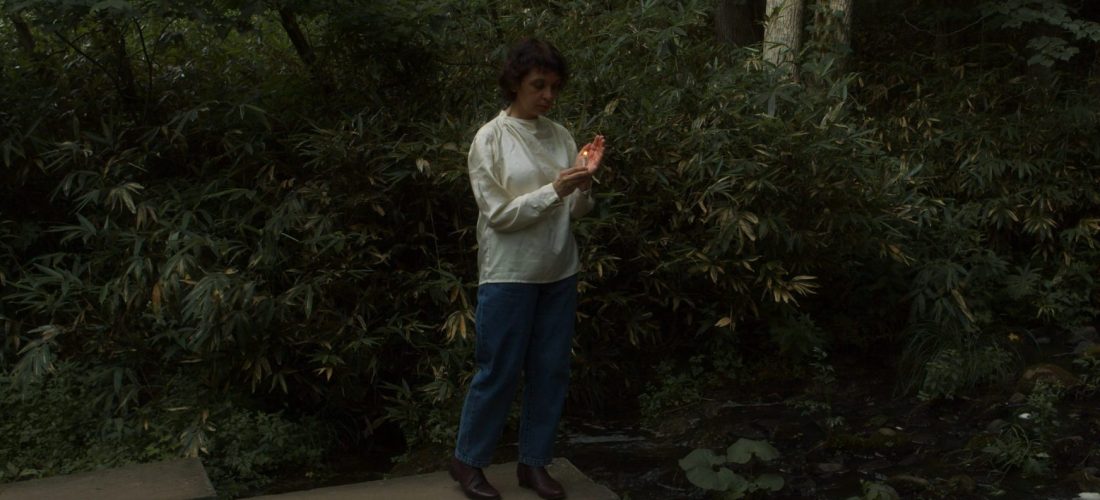 Performance—Respiriting: The Water Diviners